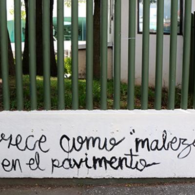 Cu Uaemex Antopologia Oct Despues Del Paro 2025 Por Ugb 13a