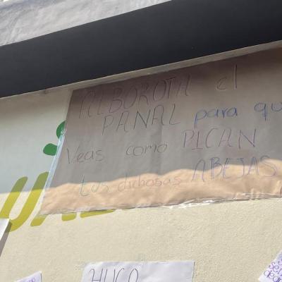 Unidacaprof Temascaltepec 61