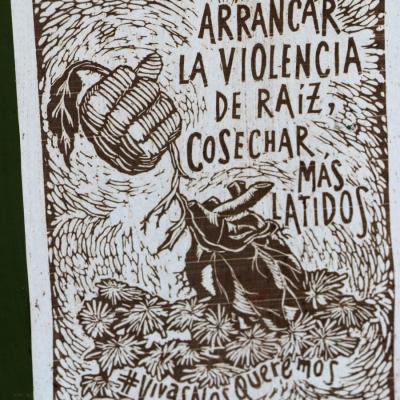 Fciencias 25