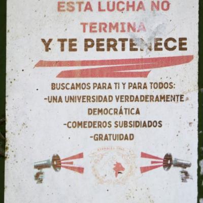 Fciencias 26