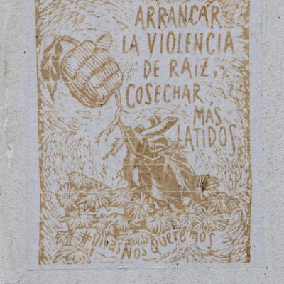 C Agricolas 7