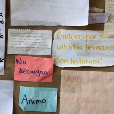 Facico 10