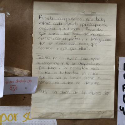 Facico 12
