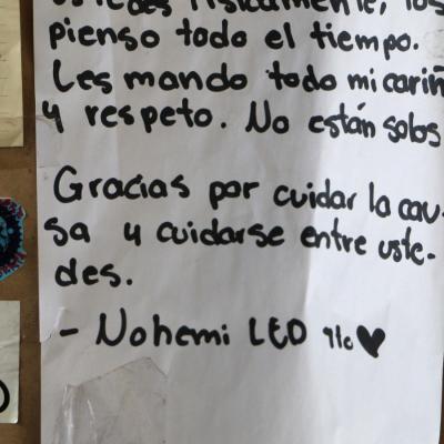 Facico 13