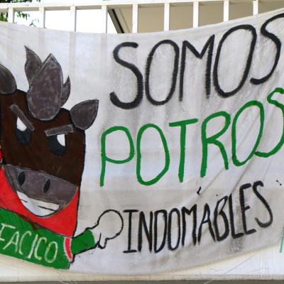 Facico 37