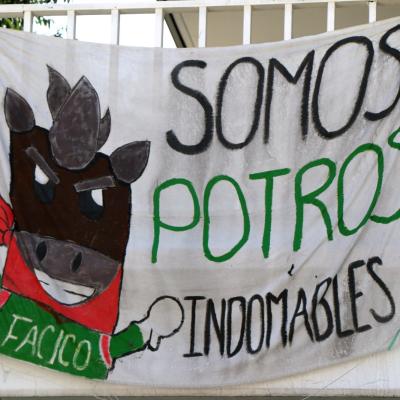 Facico 38