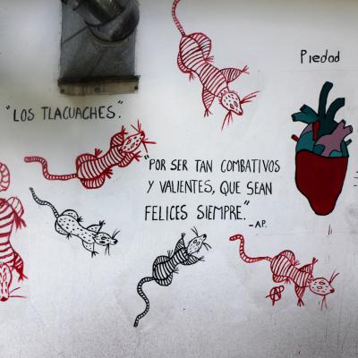 Fcienciaspoliticas 30