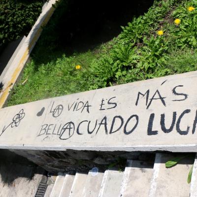 Fcienciaspoliticas 44