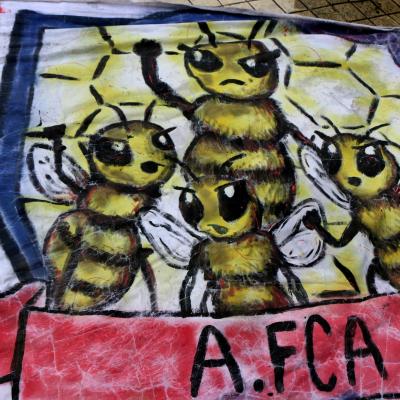 F Contaduria 15