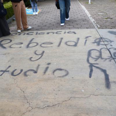 F Contaduria 8