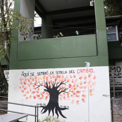 F Economia 19