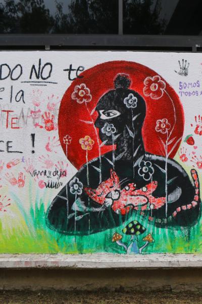 Fhumanidades 13