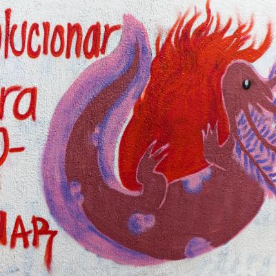 Fhumanidades 37