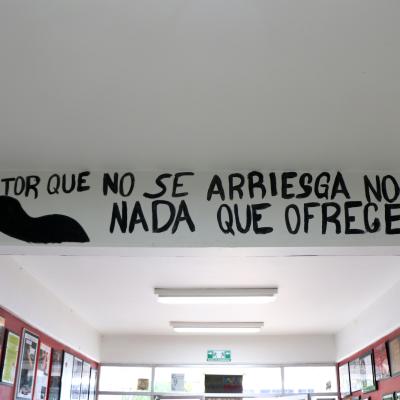 Fhumanidades 43