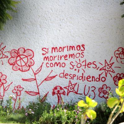 Fhumanidades 6
