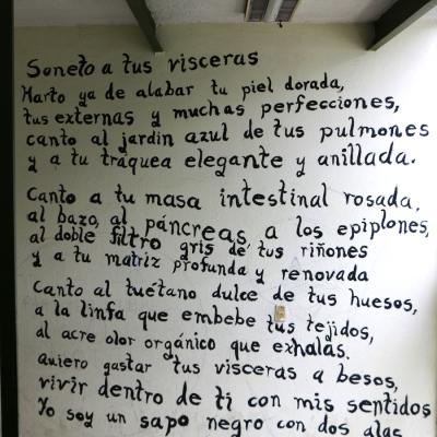 F Ingenieria 21