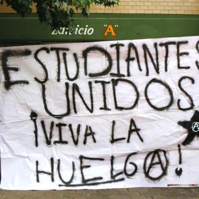 Flenguas 20