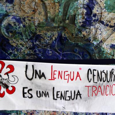 Flenguas 24