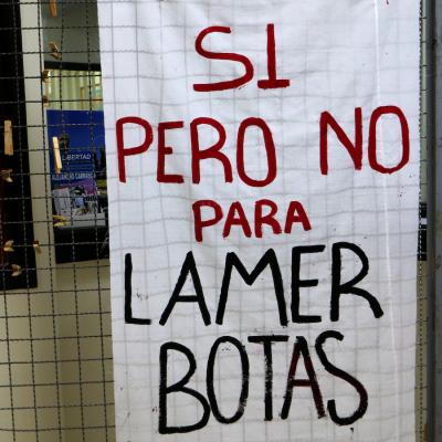 Flenguas 28