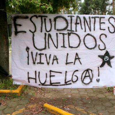 Flenguas 37