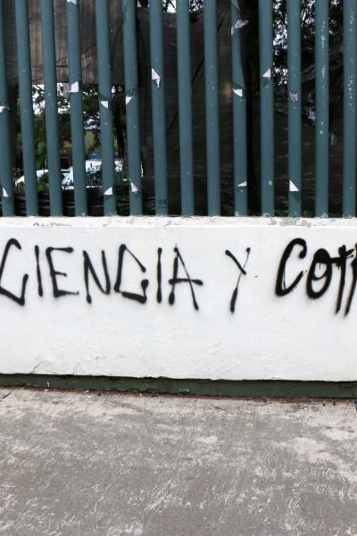 Flenguas 41