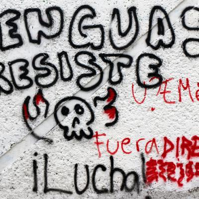 Flenguas 46