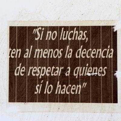 Fmedvet Y Zootecnia 12