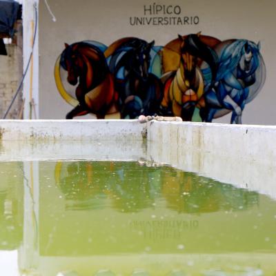 Fmedvet Y Zootecnia 15