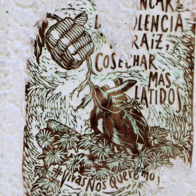 Fmedvet Y Zootecnia 20