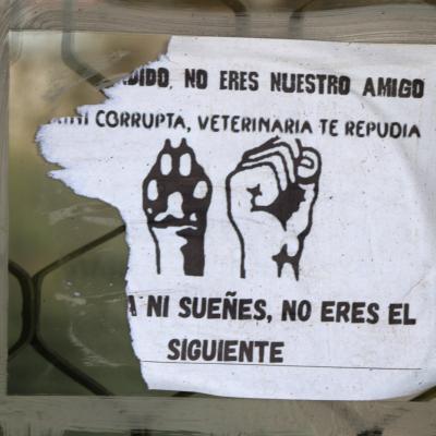 Fmedvet Y Zootecnia 30