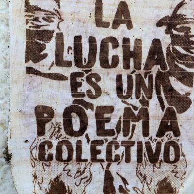 Fmedvet Y Zootecnia 31