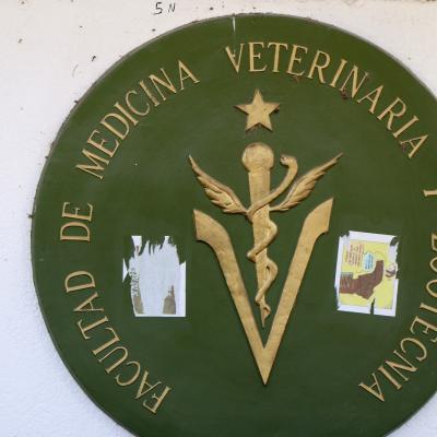 Fmedvet Y Zootecnia 39