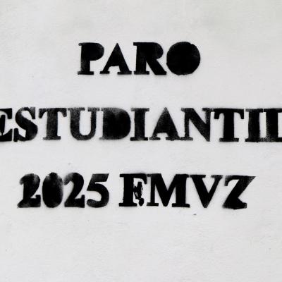 Fmedvet Y Zootecnia 3