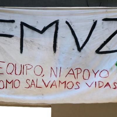 Fmedvet Y Zootecnia 41
