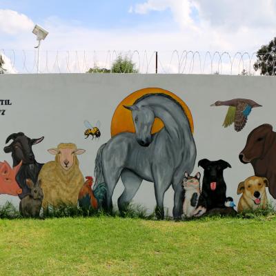 Fmedvet Y Zootecnia 4