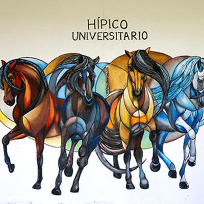 Vet Y Zootecnia Despues Del Paro 2025 Por Ugb 13a