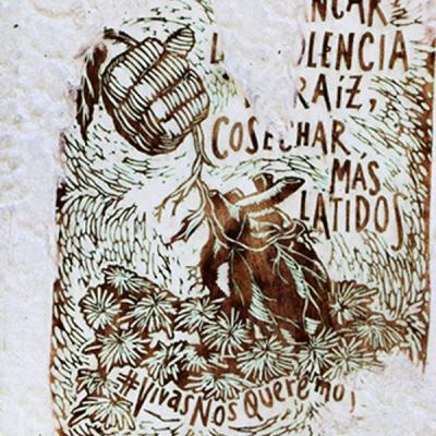Vet Y Zootecnia Despues Del Paro 2025 Por Ugb 21a