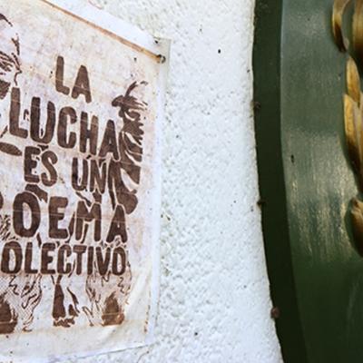Vet Y Zootecnia Despues Del Paro 2025 Por Ugb 34a