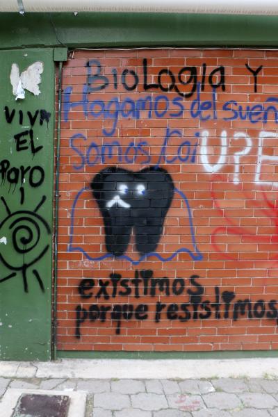 Fodonto 13