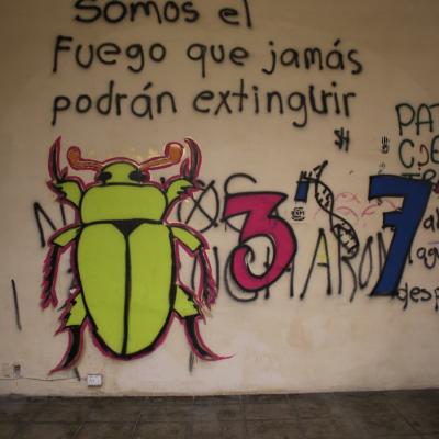 Rectoria Despues De La Entrega Casa Del Estudiante 94